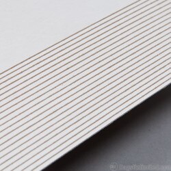 Tan side Large Magazines Backings